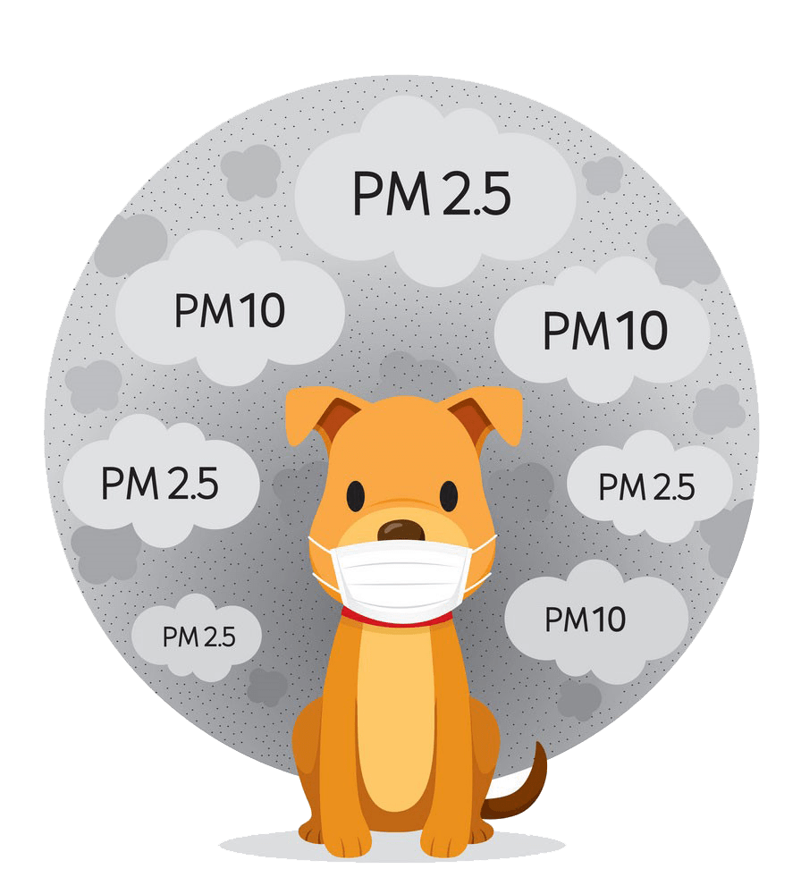 air-pollution-pets-GHO