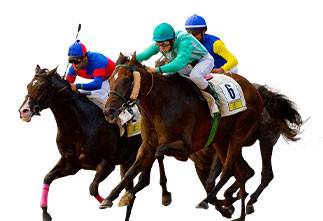 8 garrafas de 200ml de 20 doses