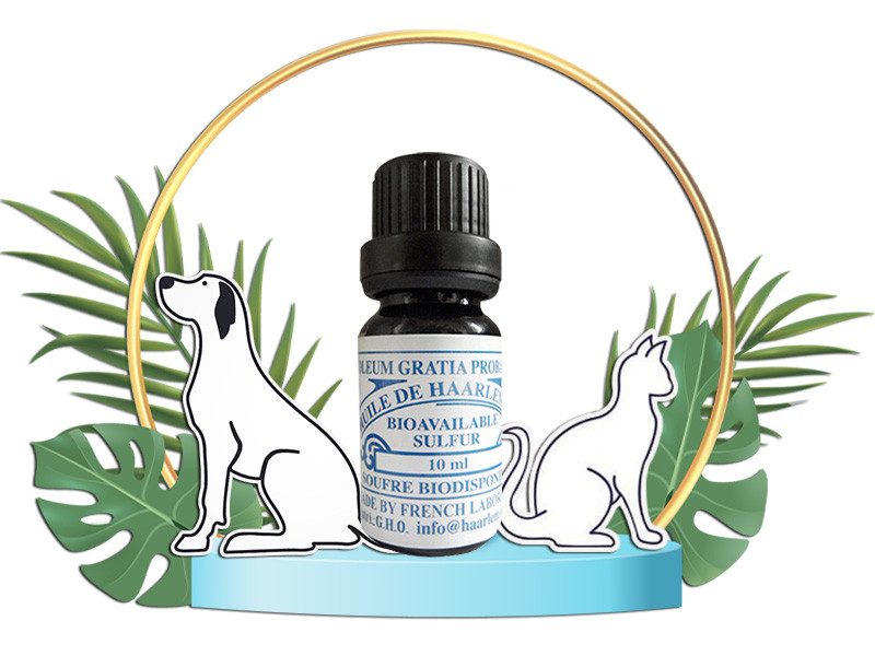 Óleo de Haarlem para Cães e Gatos – Frasco com conta-gotas de 10 ml