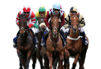 24 garrafas de 200ml de 20 doses