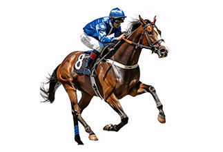 2 garrafas de 210ml de 14 doses