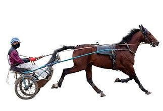 8 garrafas de 210ml de 14 doses